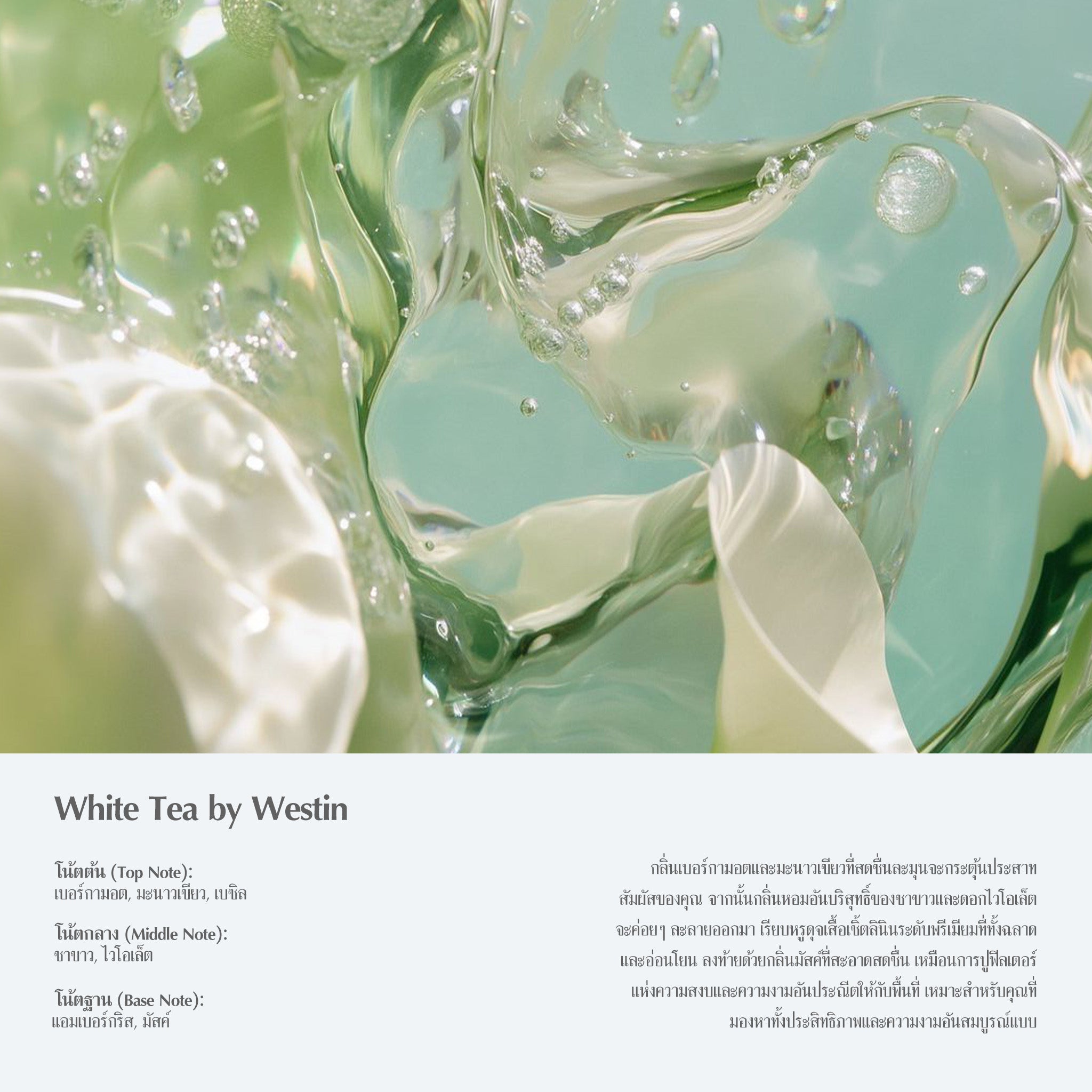 หินหอมอโรมา กลิ่น White Tea (ชาขาว)